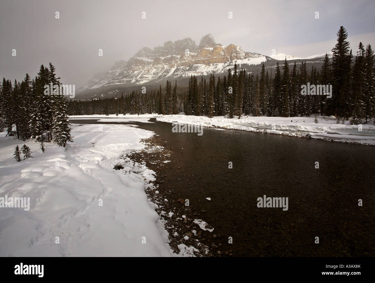 Bow River im winter Stockfoto