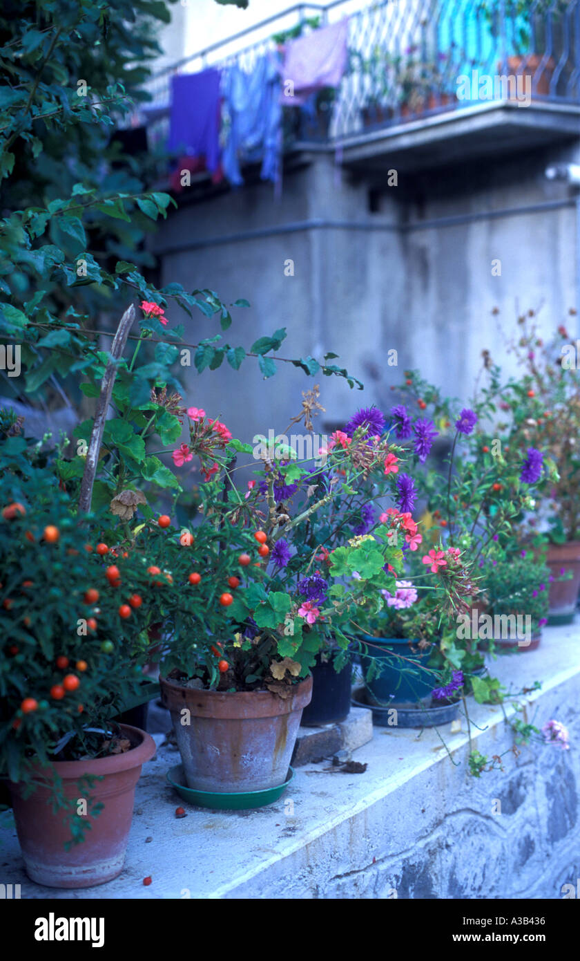 Blumen und Wäscheleine im Dorf St. Constantine Albanias Basilikata Italien Stockfoto