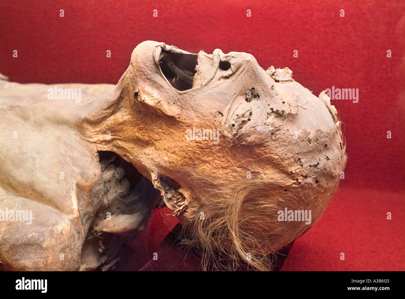 Mummy Museum bekannt als El Museo de Las Momias Guanajuato Mexiko Stockfoto