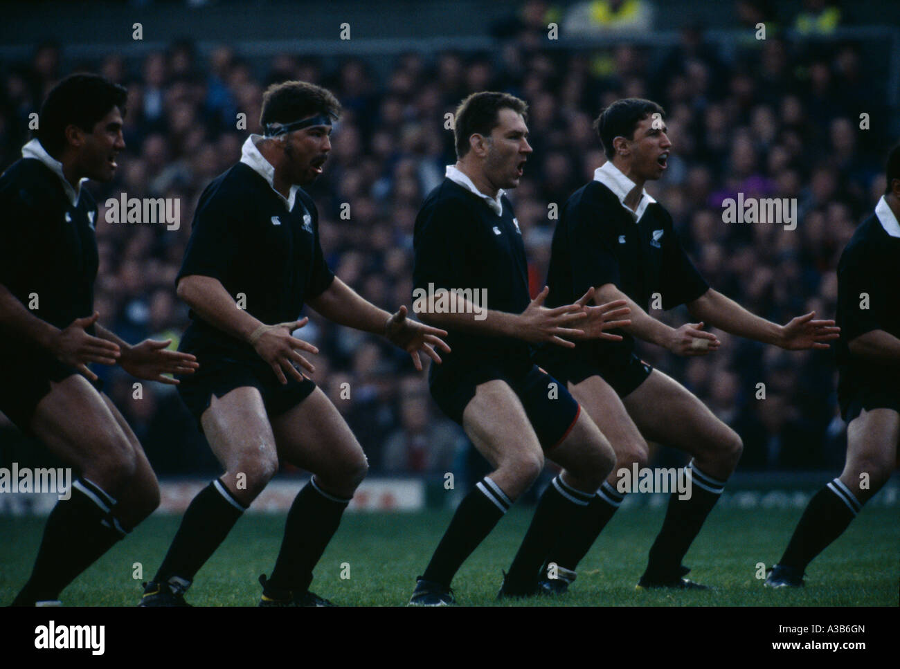 England Twickenham Stadion Sport Ballspiele Rugby New Zealand All Blacks Durchführung der Pre match Maori-Haka Stockfoto
