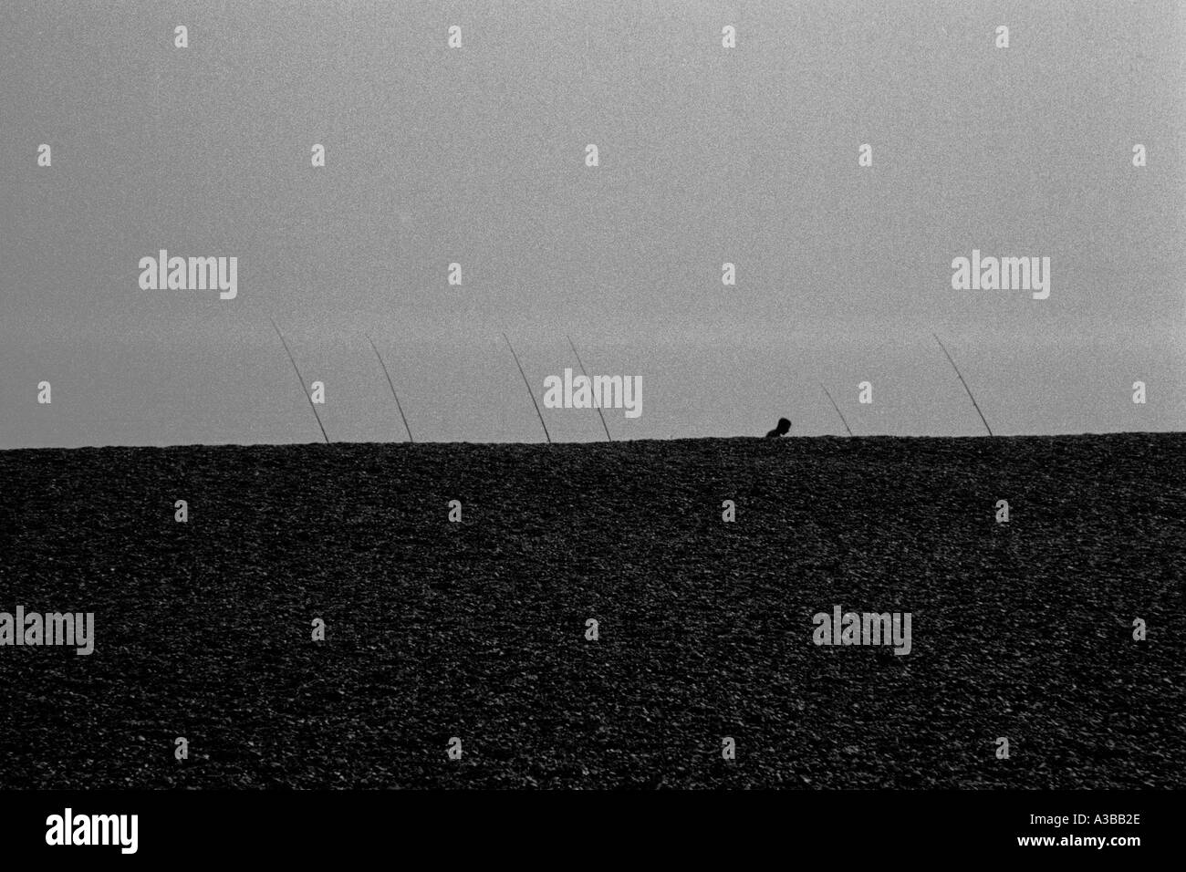 Abstrakte 2 Angelrute Silhouetten bei Shingle Street Suffolk Stockfoto