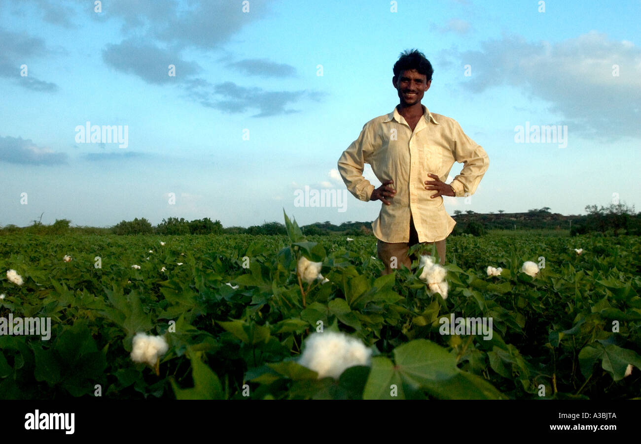 Fairtrade-Bauer aus Gujarat, Indien Stockfoto
