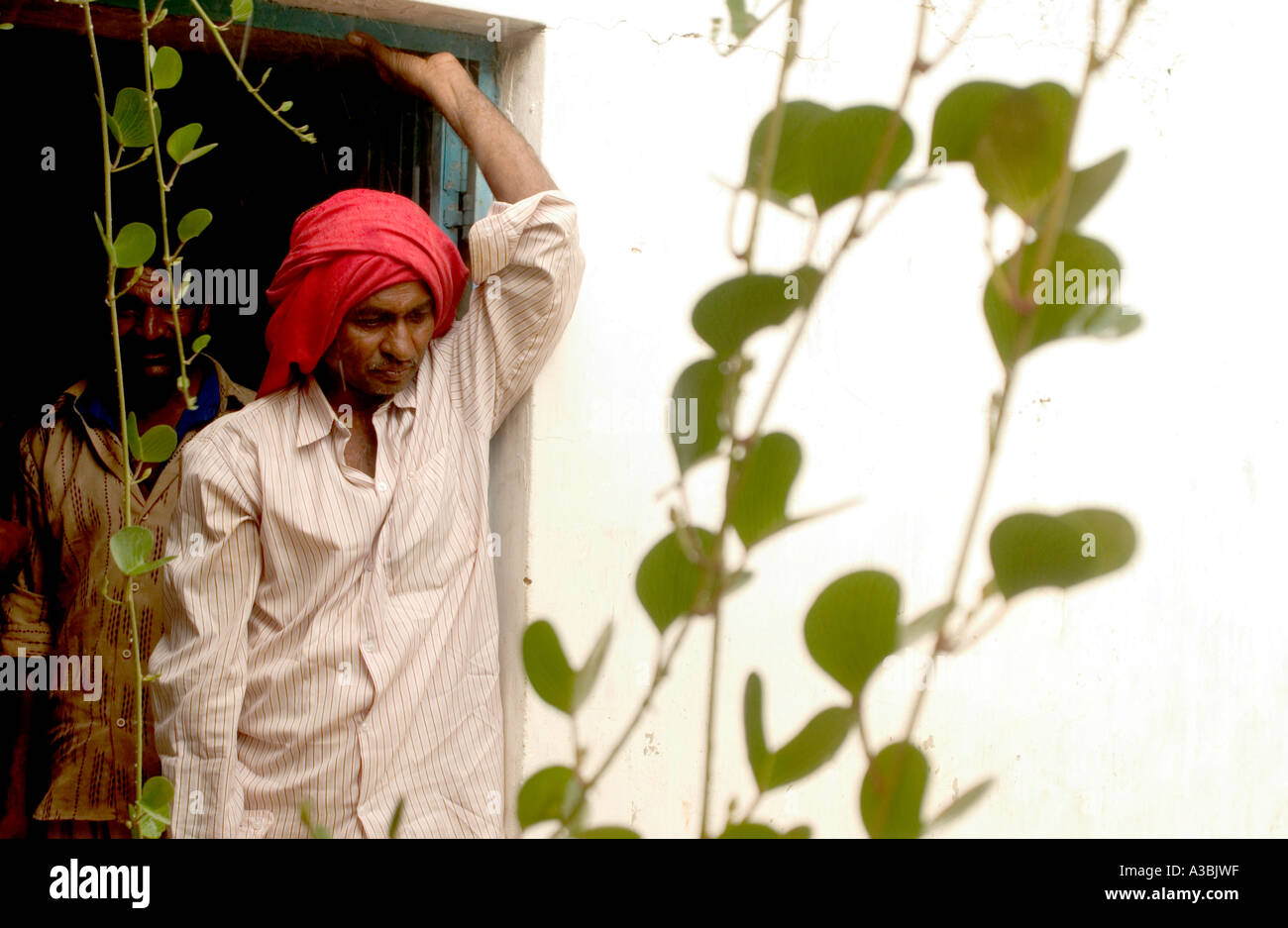 Baumwolle-Bauer, Gujarat, liefert Fairtrade-Baumwolle, Marks &amp; Spencer. Wartet auf Regen zu sinken vor der Arbeit im Feld Stockfoto