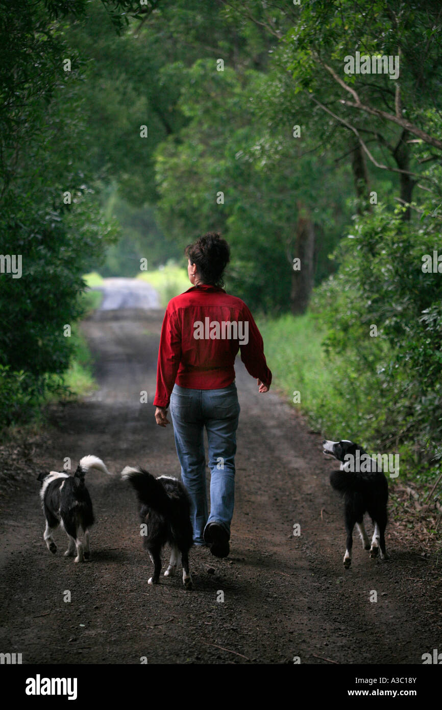 Eine Frau kommt in einen Feldweg Hunde Stockfoto