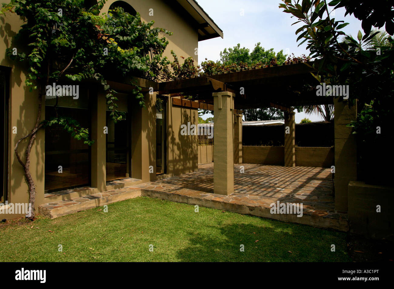 Eine Weinrebe und Rasen mit Stein Schiefer Terrasse in Australien Stockfoto