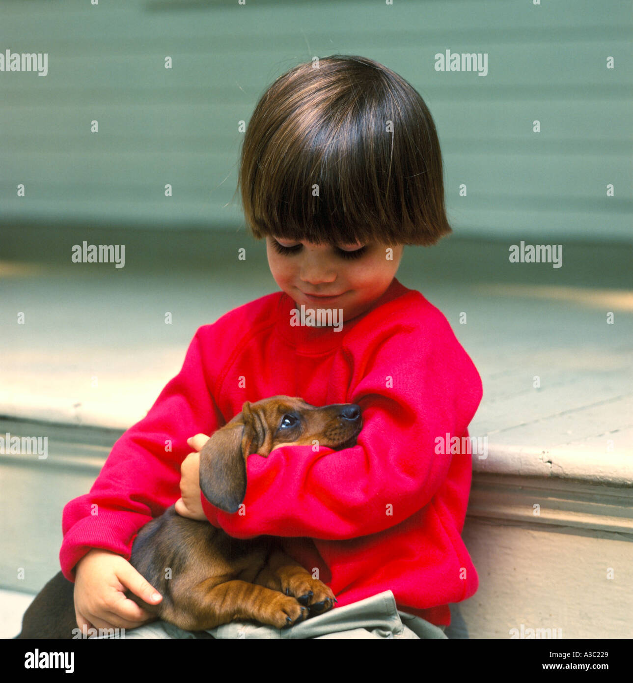 Kleiner Junge trägt einen roten Pullover sitzt der Veranda hielt seine Dackel Hund in seinen Armen Stockfoto