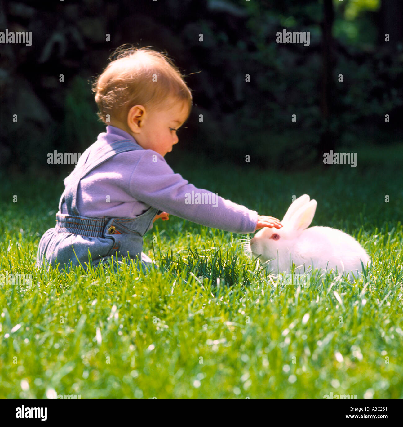 Kleines Kind draußen in dem grünen Rasen, bis ein weißer Hase Kaninchen streicheln Stockfoto