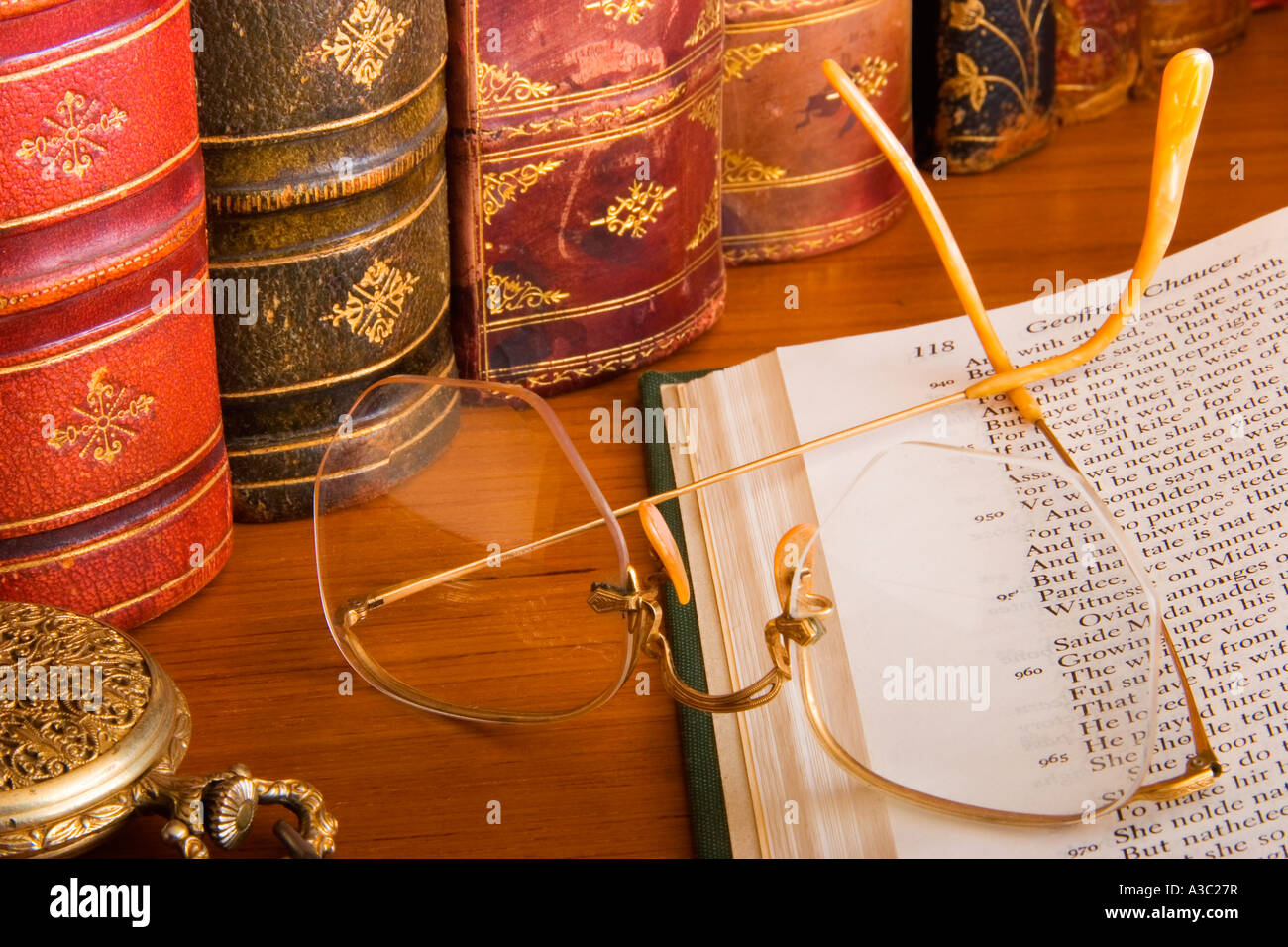 Antik-Leder gebundene Bücher der Literatur des neunzehnten Jahrhunderts Stockfoto