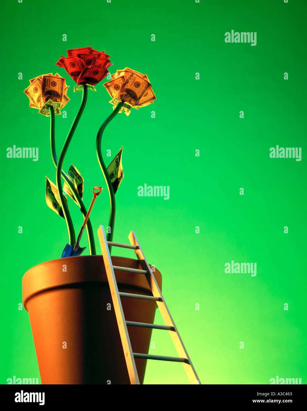 Geld Tulpen mit Blumentopf und winzige Leiter gegen grüne von Pete McArthur, 2000 Stockfoto