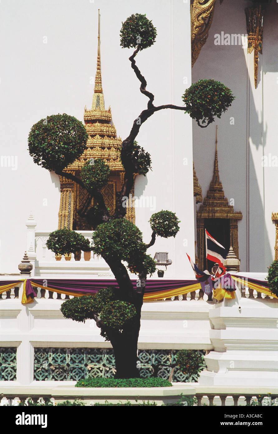 Stadtbild Stadtkonzept Städte konzeptuelle Happenings Natur- und Menschenserien Stockfoto