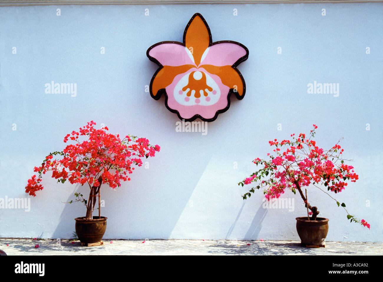 Stadtbild Stadtkonzept Städte konzeptuelle Happenings Natur- und Menschenserien Stockfoto