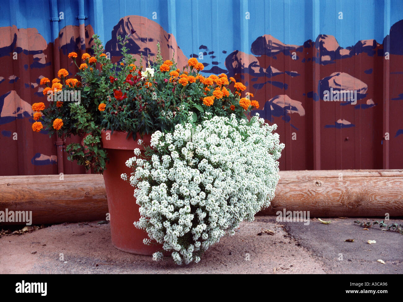 Stadtbild Stadtkonzept Städte konzeptuelle Happenings Natur- und Menschenserien Stockfoto