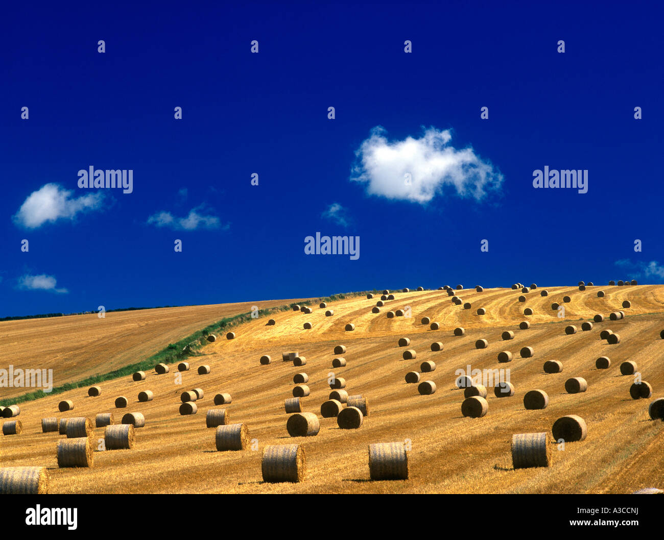 Heu-Kautionen im Feld an Hügel sonnigen Tag mit blauem Himmel und Wolken; East Sussex, England, uk Stockfoto
