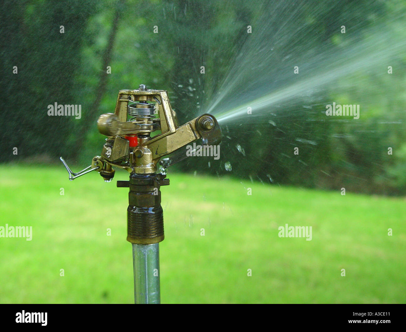 Wasser sprinkler Stockfoto