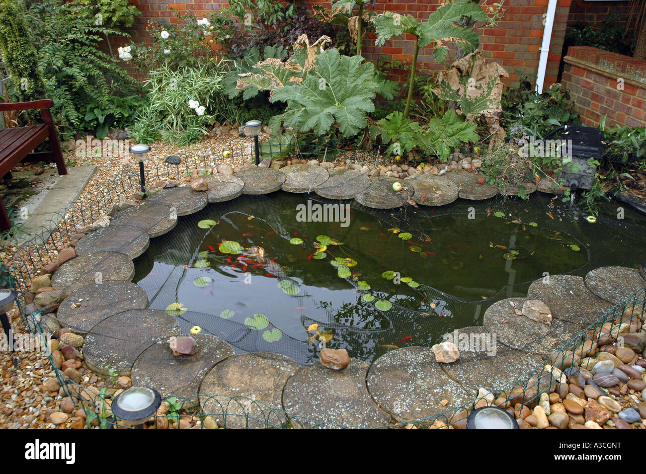 Kleiner Teich im englischen Garten des Grundstückes Stockfotografie Alamy