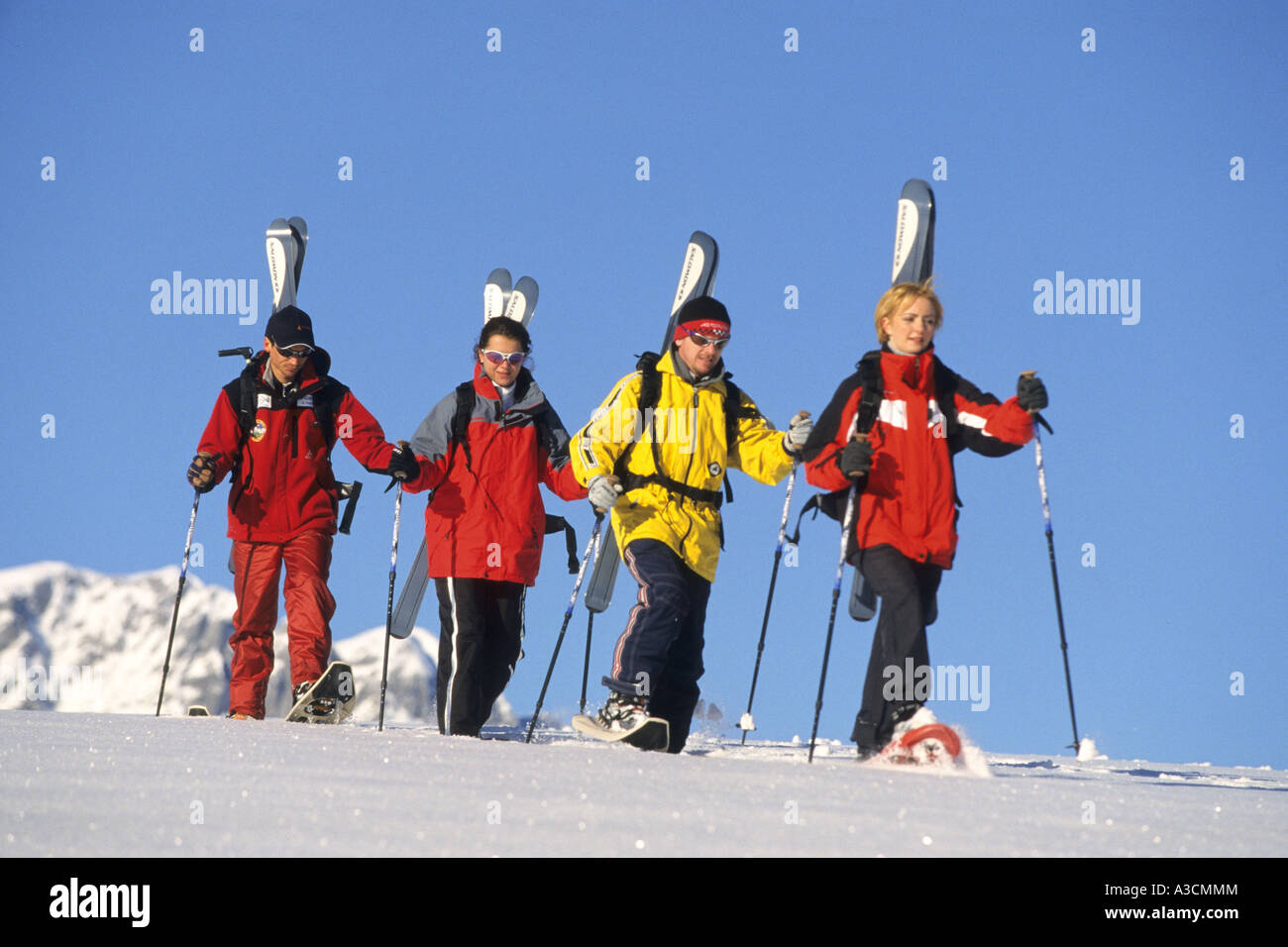 eine Gruppe von Skifahrern im Tiefschnee, Österreich, Alpen Stockfoto