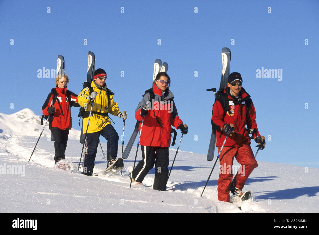 eine Gruppe von Skifahrern im Tiefschnee, Österreich, Alpen Stockfoto