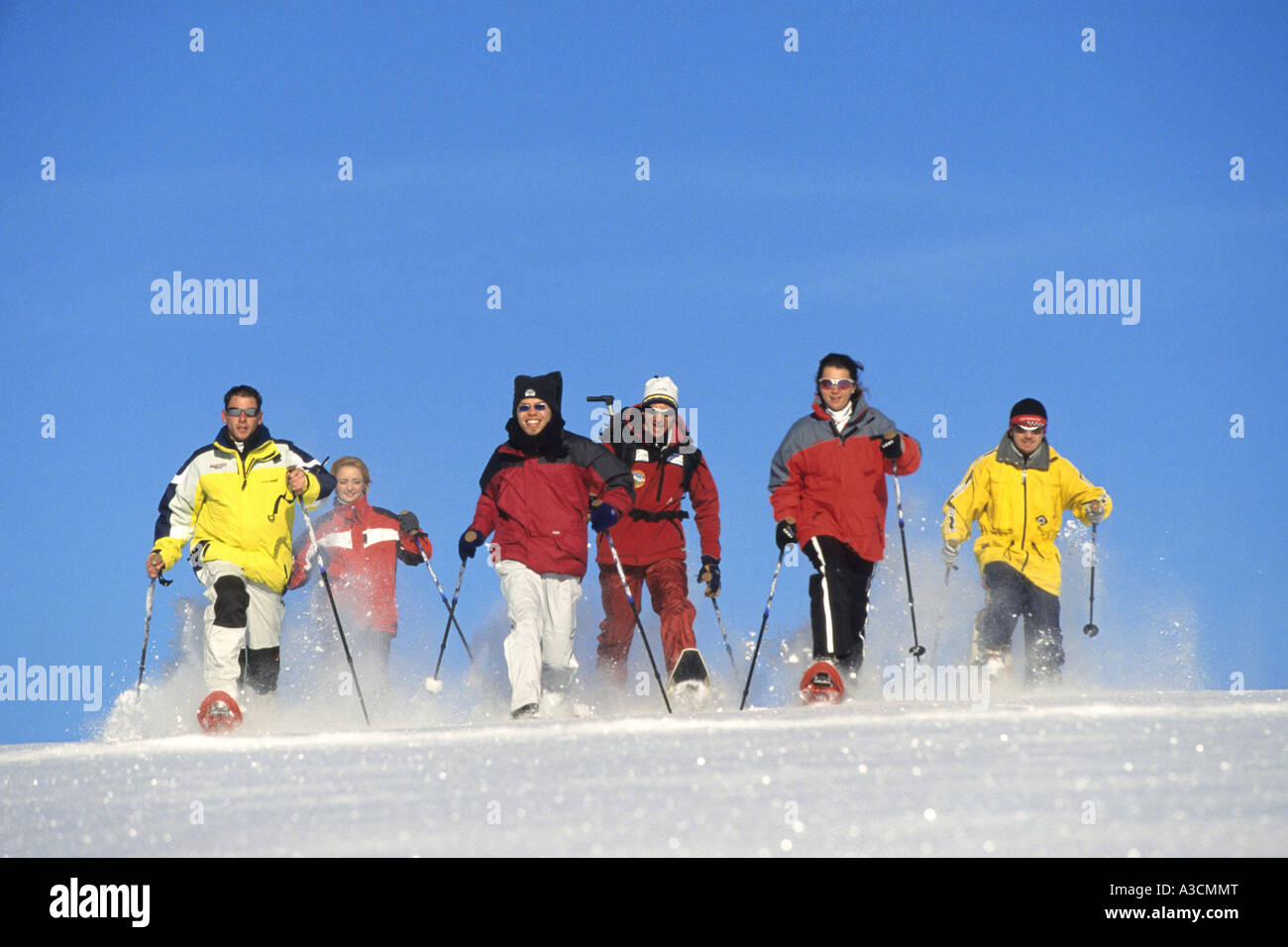 eine Gruppe von Skifahrern im Tiefschnee, Österreich, Alpen Stockfoto