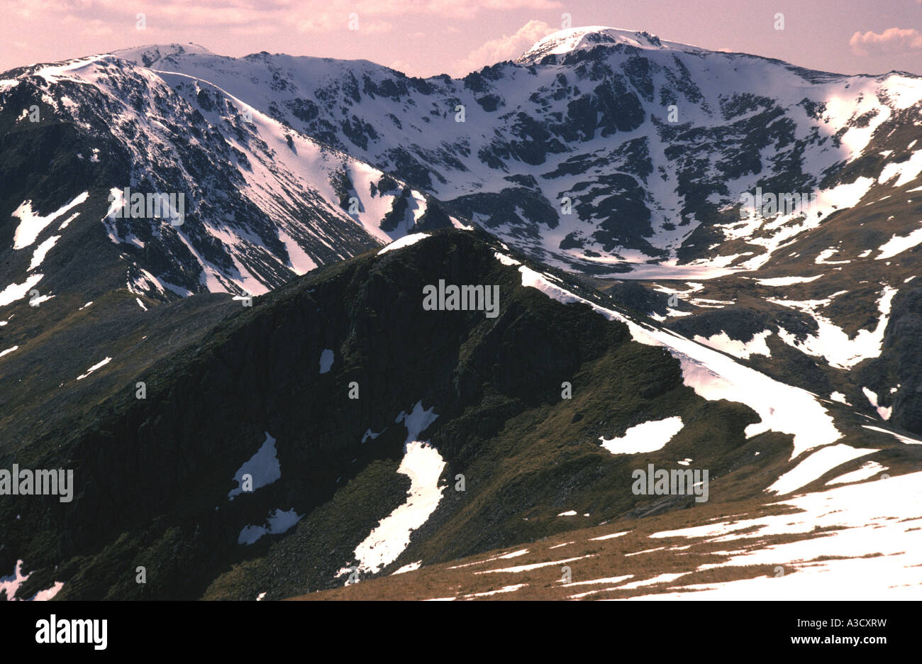 MAM Sodhail und Carn Eighe von Tom ein ' Choinich. Glen Affric, Schottland, Vereinigtes Königreich, Europa. Stockfoto