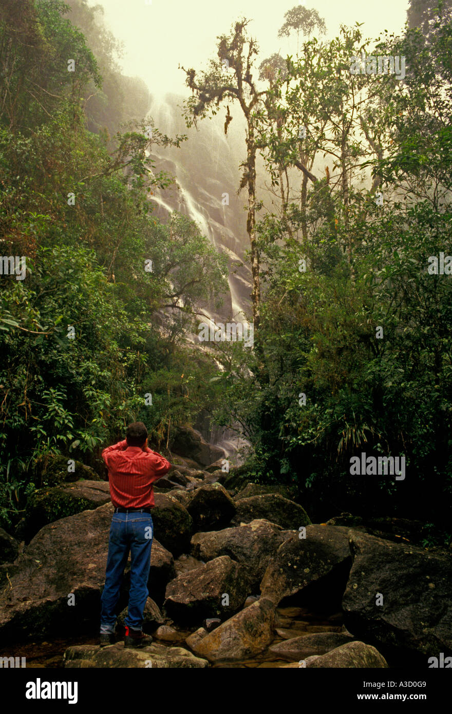 Menschen, Bird Watcher, Vogelbeobachtung, atlantischen Regenwald, Nationalpark itatiaia, Rio de Janeiro, Brasilien Stockfoto