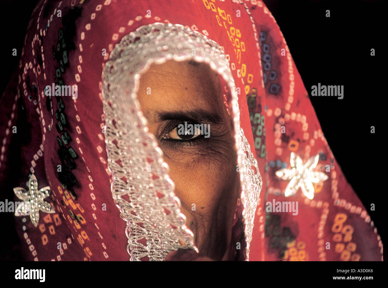 VCA76800 Portrait einer alten Rajasthani-Frau im Sari Stockfoto