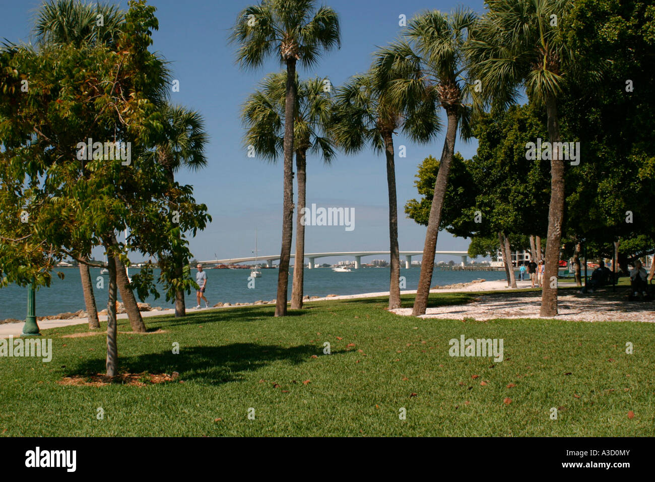 Sarasota, Florida USA Stockfoto