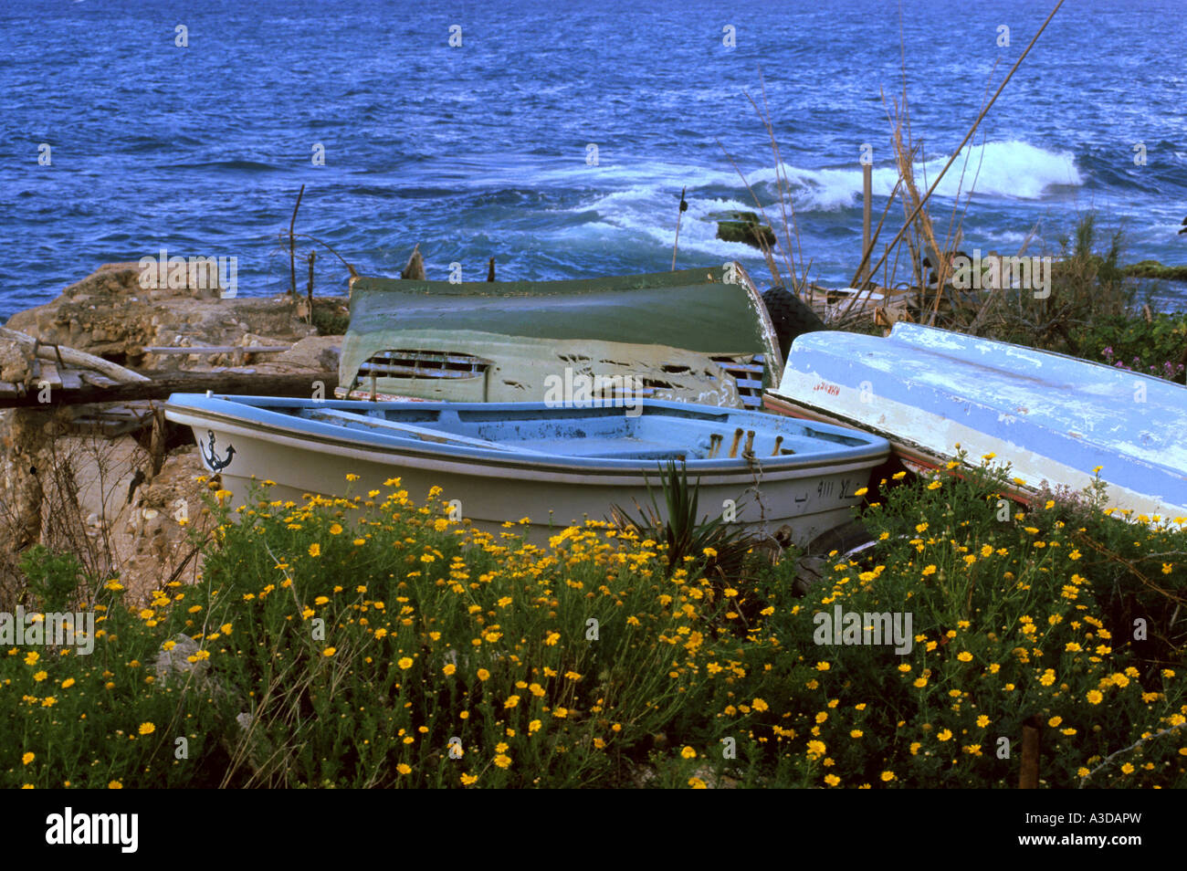 Angelboote/Fischerboote an der mediterranen Küste Stockfoto