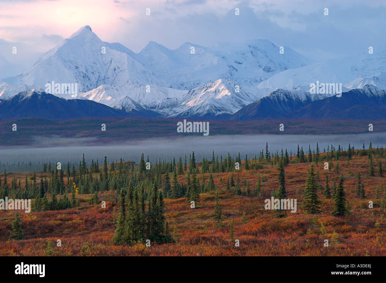 Stimmungsvolles Licht, Sunrise und Morgen Nebel mit Alaska Range im Hintergrund, Dreifarbigkeit Bereich, Denali Nationalpark Alaska USA Stockfoto