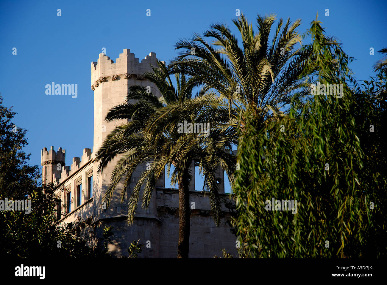 La Lonja, Palma De Mallorca. Spanien, Balearen, Europa Stockfoto