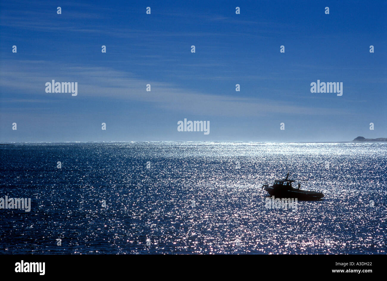 Angelboot/Fischerboot auf die Hokianga Harbour Northland Neuseeland Stockfoto