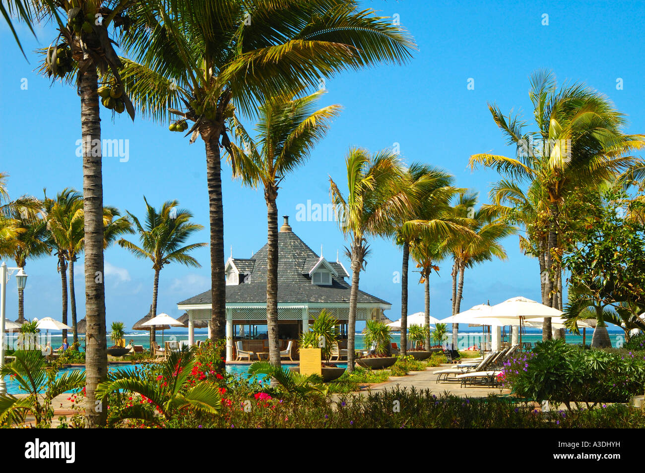 Urlaub in der Sonne, Mauritius Stockfoto