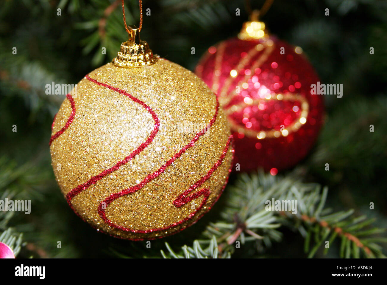 Zwei glitzerte Weihnachtskugeln an einem Baum hängen. Stockfoto