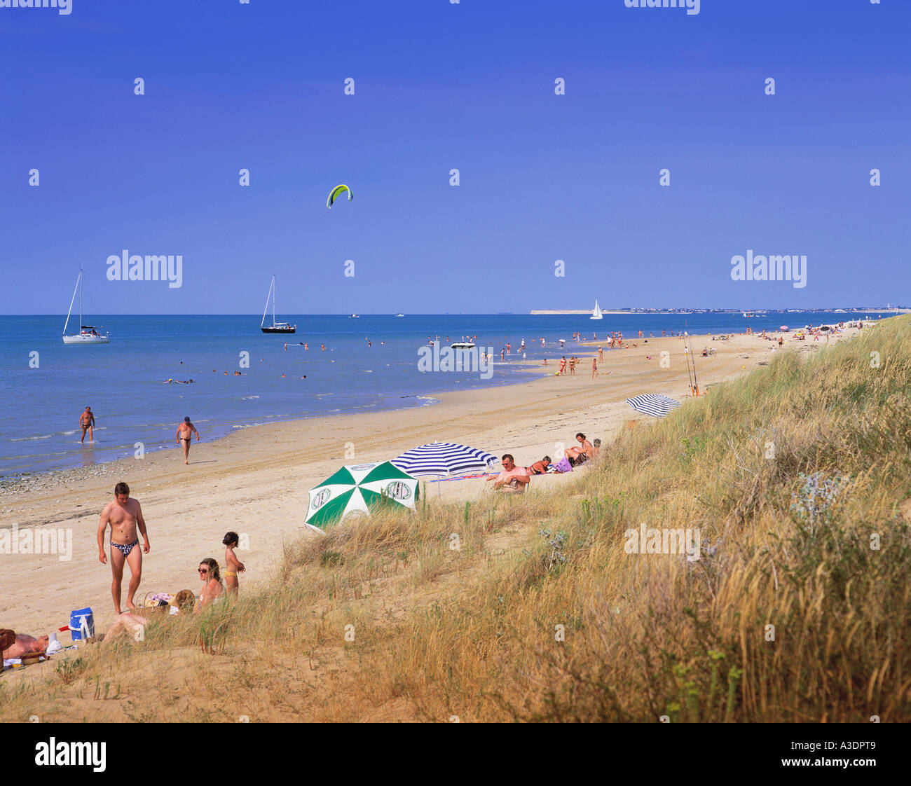 FRANKREICH POITOU-CHARENTES ILE DE RE RIVEDOUX-PLAGE Stockfoto