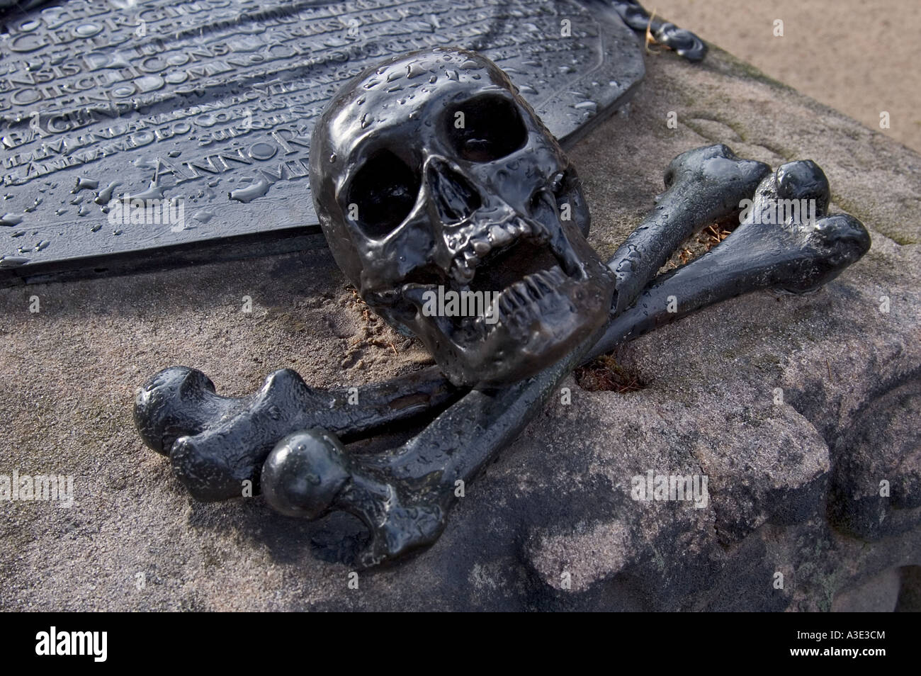 Detail einer Grab-Platte, Schädel und gekreuzten Knochen, Metallarbeiten, Johannis-Friedhof, Nürnberg, Bayern, Deutschland Stockfoto