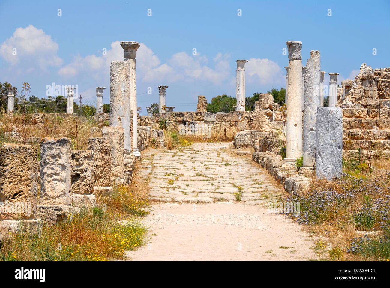 Antike Säulen auf einer asphaltierten Straße archäologische Seite Salamis Nordzypern Stockfoto