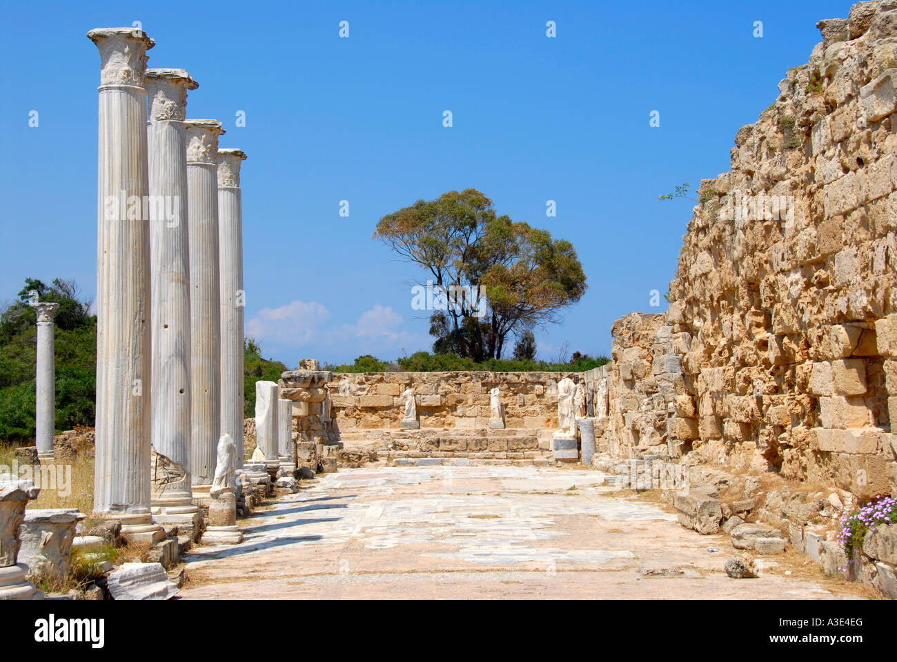 Antiken Säulen Gymnasium und die Wände der Bäder archäologischen Website Salamis Nordzypern Stockfoto