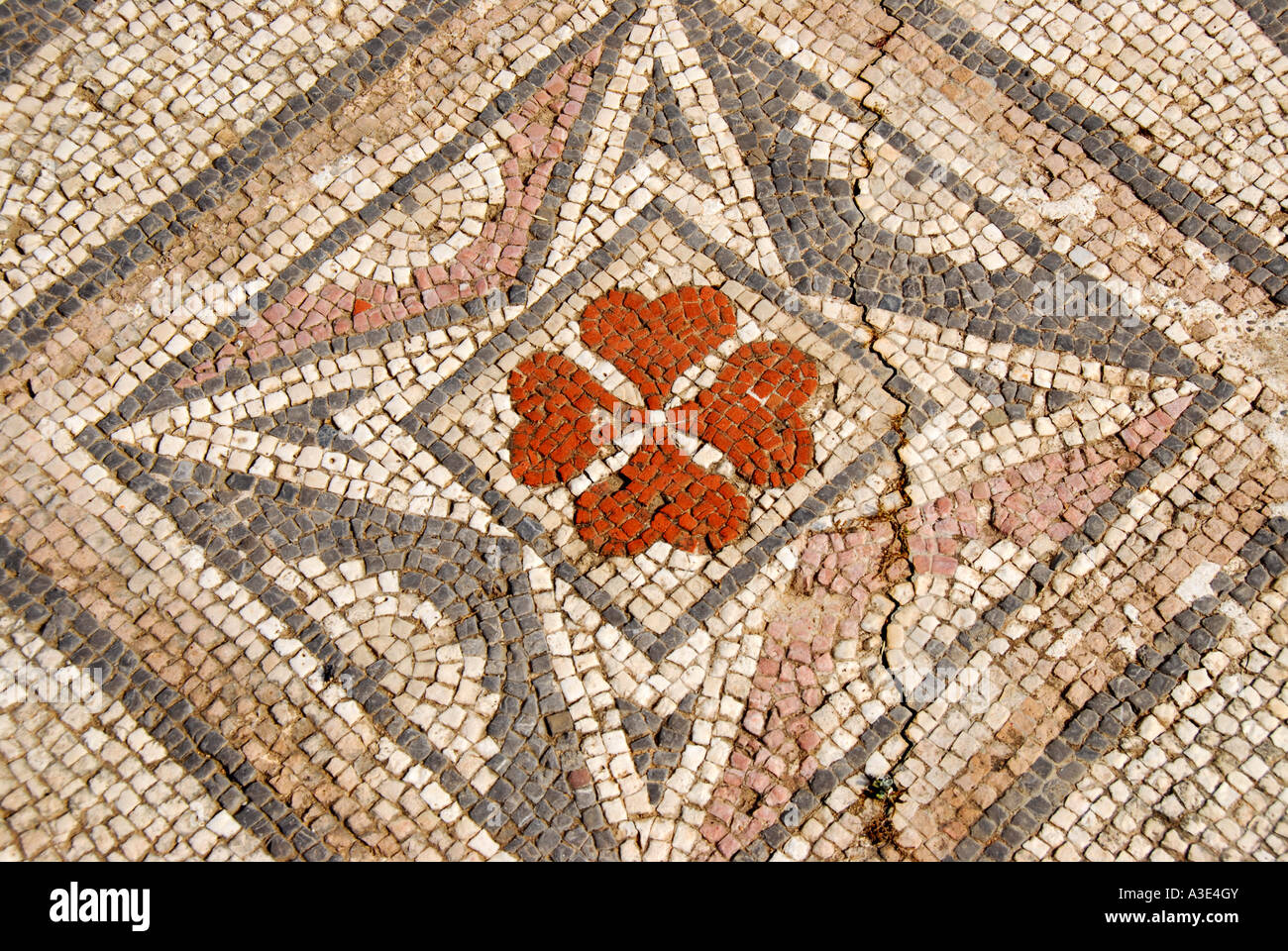 Buntes Mosaik florale und geometrische Muster in archäologischen Stätte der frühchristlichen Basilika Agia Trias Nordzypern Stockfoto