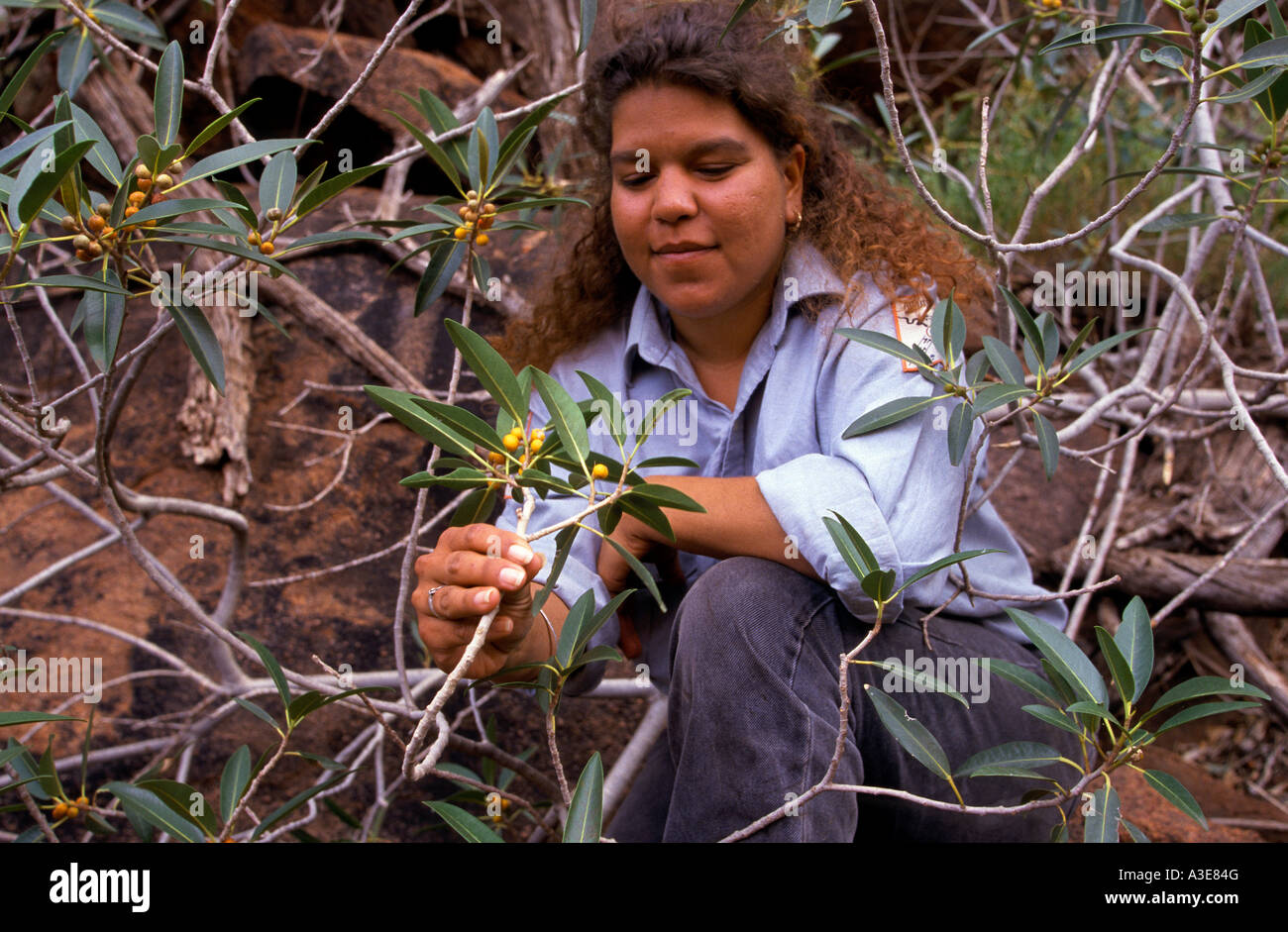Aborigine-Tourguide Uluru Australien Stockfoto