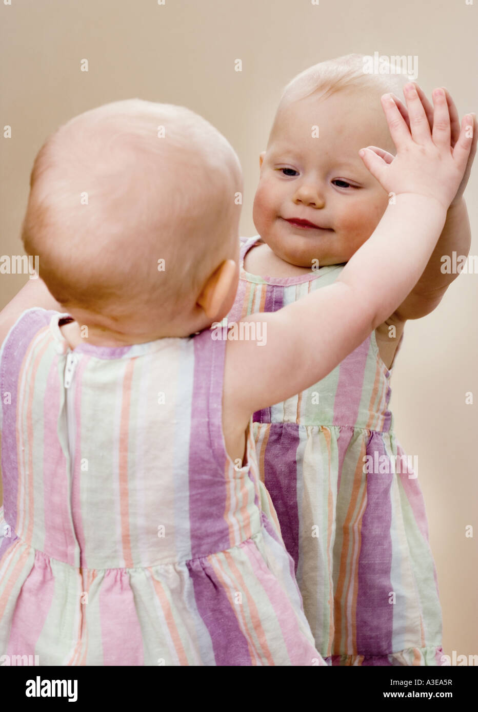 Erkennt Stockfotos Erkennt Bilder Alamy