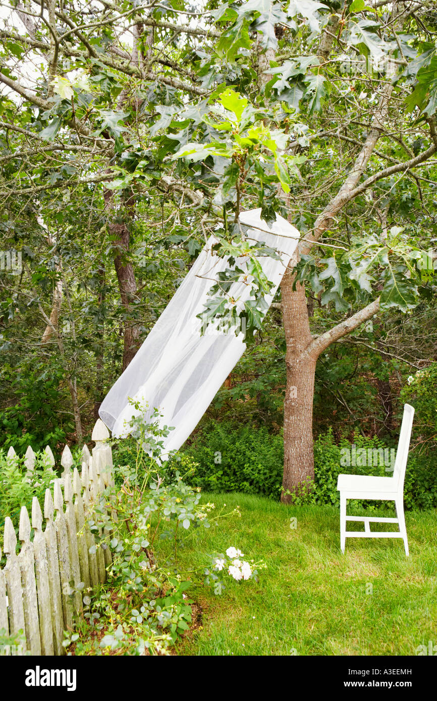 Vorhang hing an einem Baum im Garten Stockfoto