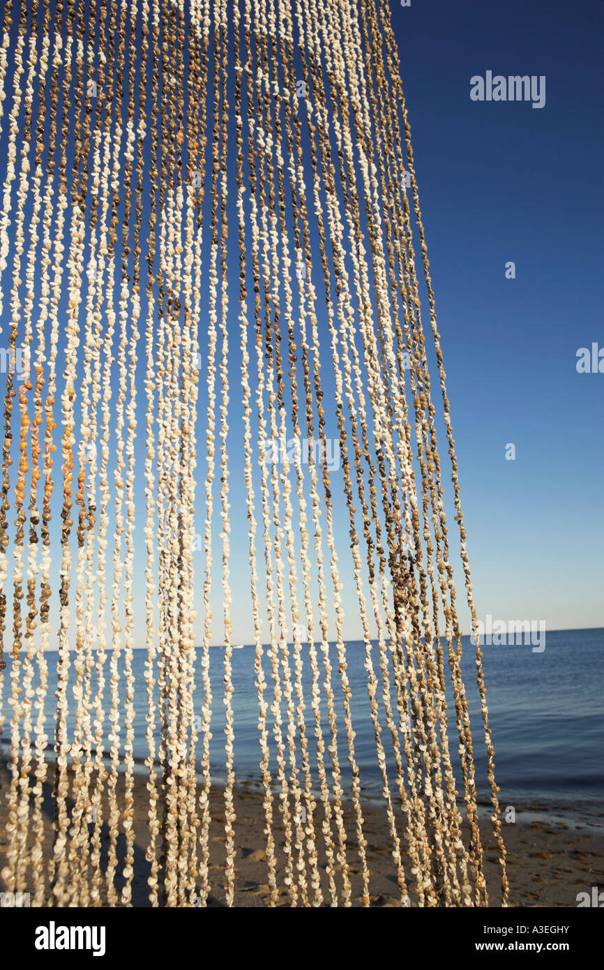 Nahaufnahme von einem Perlenvorhang am Strand Stockfoto