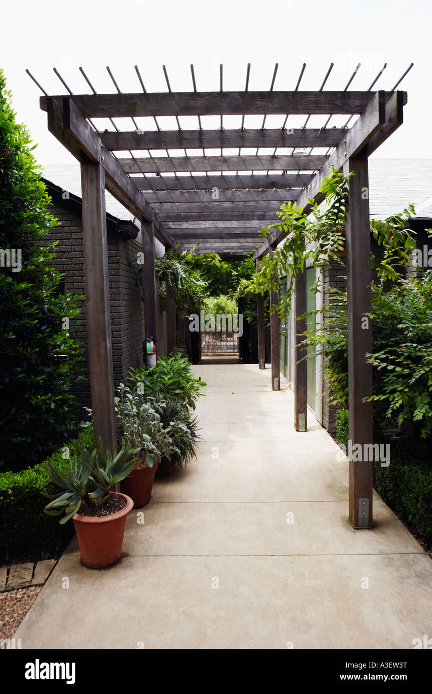 Topfpflanzen auf beiden Seiten eines Korridors Stockfoto