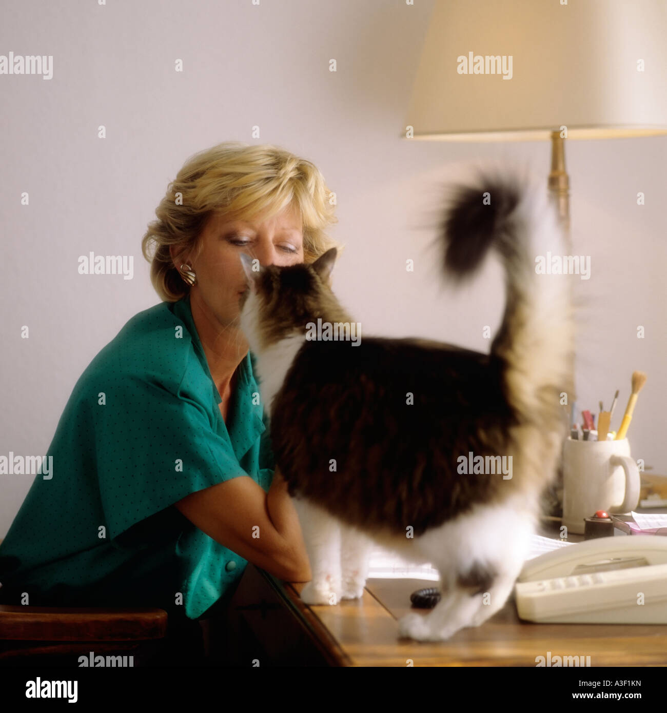 REIFE FRAU HERR AN DER REZEPTION UND KATZE Stockfoto