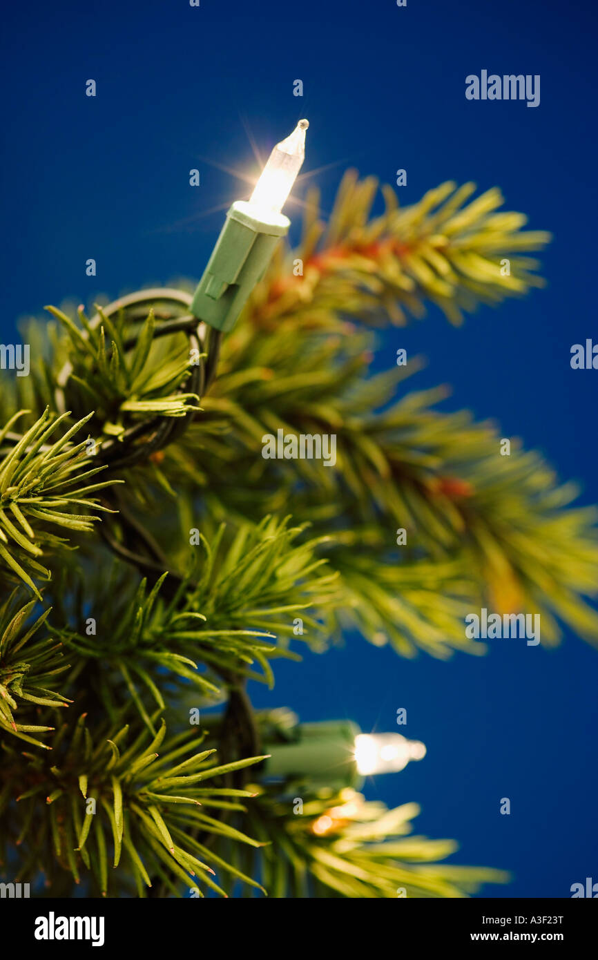 Weihnachtsbaums Stockfoto