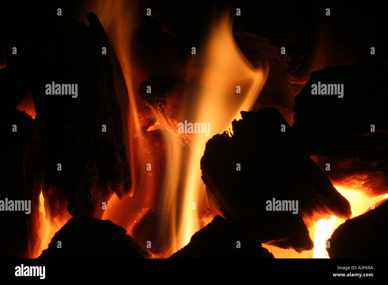 Flammen in einem Kohle-Feuer Stockfoto