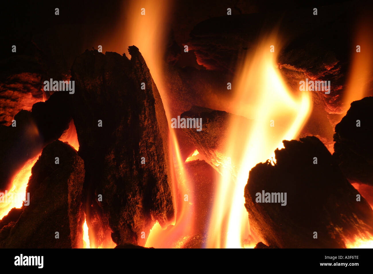 Flammen in einem Kohle-Feuer Stockfoto