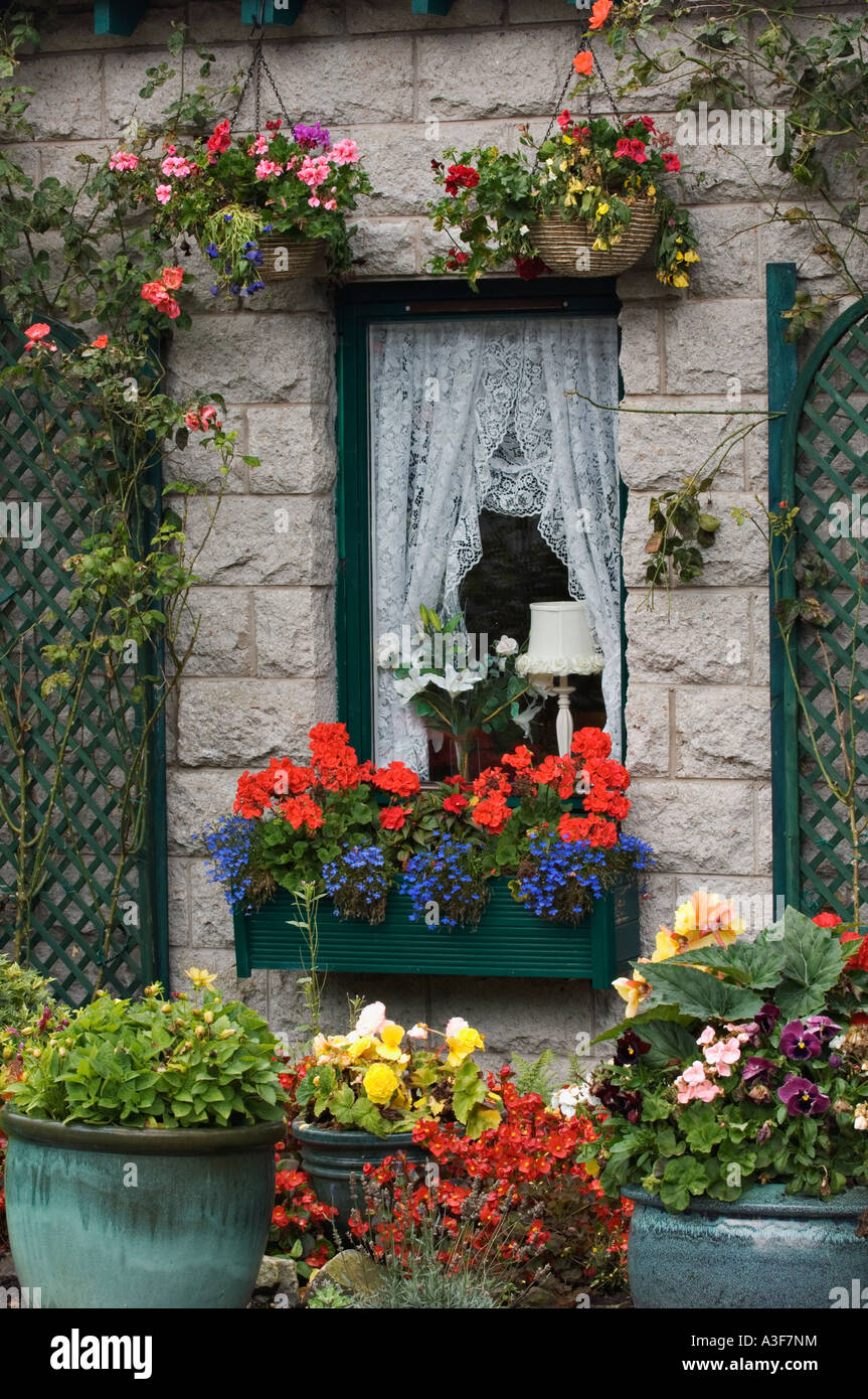 Blüten in hängenden Körben Blumenkasten große Töpfe und Spalier rund um Fenster in Small Stone Cottage Glencoe Village Schottland Stockfoto