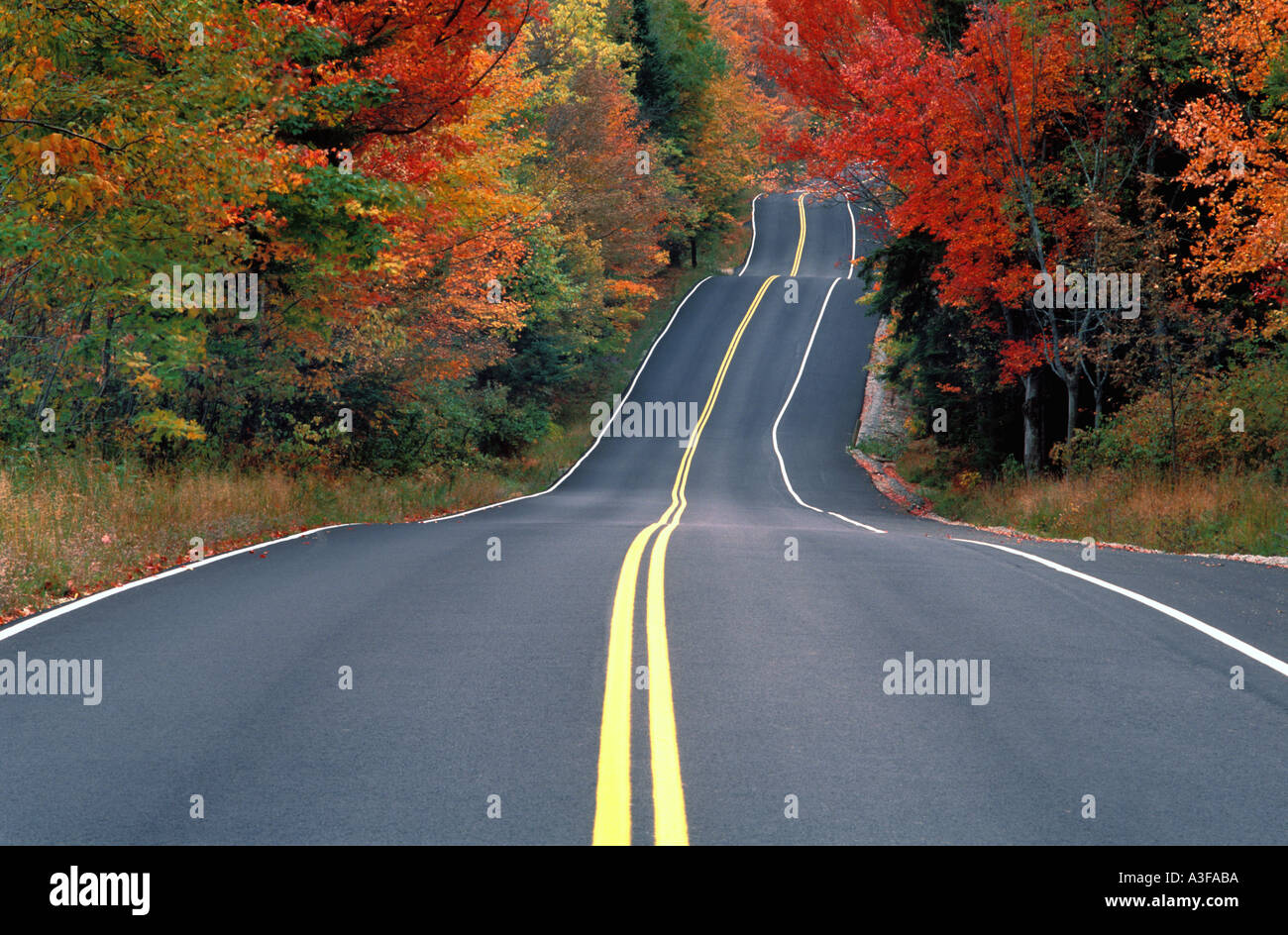 USA-Vermont-Straße im Herbst Stockfoto