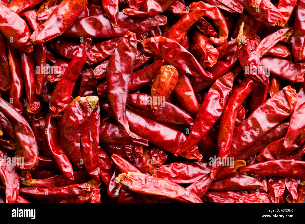 Rote Chile Japones Hot Red Peppers Stockfoto