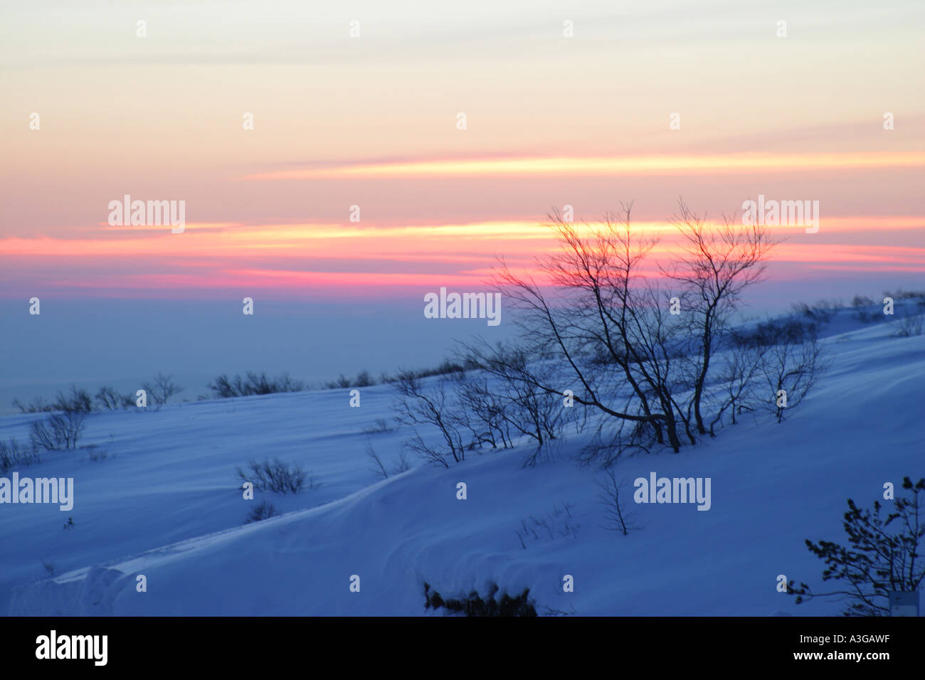 Polar-Sonnenuntergang Stockfoto